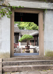 Poster - Bonsaï d'un jardin à Suzhou, Chine