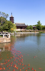 Poster - Poissons rouge, jardin historique de Panmen à Suzhou, Chine