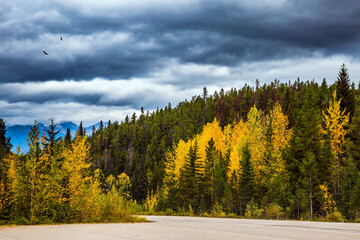 Wall Mural - Heavy storm clouds over the mountains