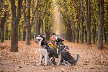 A boy sits between two husky dogs in the forest