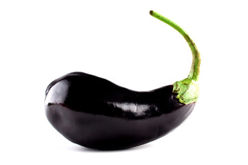 Poster - Aubergine