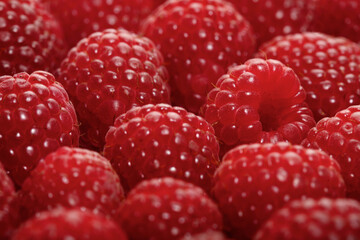 Canvas Print - Raspberries backbround - close-up