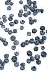 Canvas Print - Blueberry