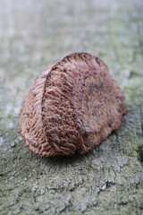 Wall Mural - Brazil nut on wooden background