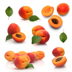 Wall Mural - Apricots on white background - studio shot