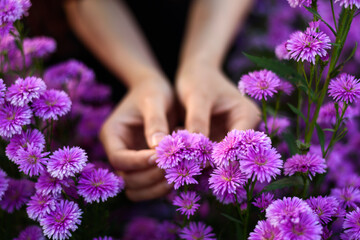 close up woman hand holding purple cutter flower in the garden