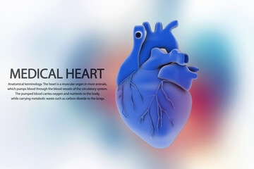 Wall Mural - 3d illustration  Anatomy of Human Heart 
