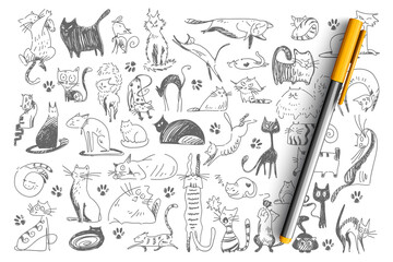 Wall Mural - Cats doodle set. Collection of hand drawn childish patterns domesticated animals kitties kitten pets in different poses isolated on white background. Human friends vector illustration for kids.