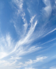 Wall Mural - blue sky and clouds