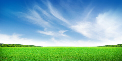 Wall Mural - green grass field and clear blue sky