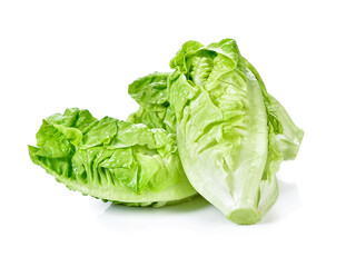 Wall Mural - Baby Romaine Lettuce on white background