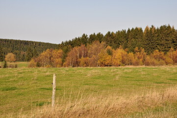 Canvas Print - Herbst am Rennsteig