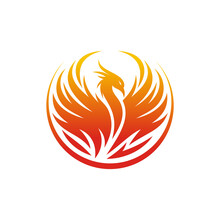 Modern Flaming Phoenix Logo Designs Template Vector Illustration