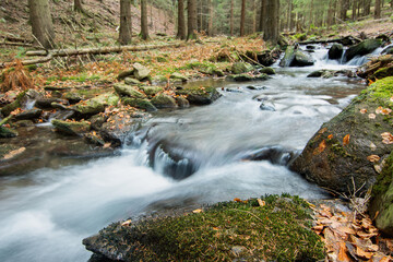 Sticker - Natur und Wasser 