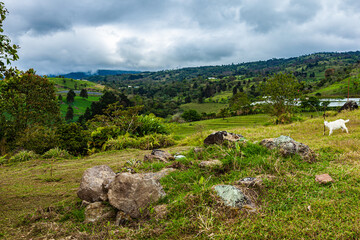 Wall Mural - National park La Quinta in Costa Rica