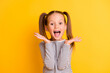 Leinwandbild Motiv Portrait of young excited shocked crazy smiling girl child kid hold hands isolated on yellow color background