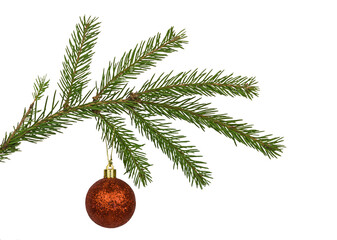 A red Christmas ball on a branch of the tree isolated on white background