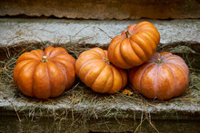 Orange Halloween Pumpkins On Stack Of Hay Or Straw In Sunny Day, Fall Background