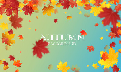 Wall Mural - autumn season background with falling autumn leaves for text.