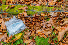 Plastic Bag With Blue Disposable Masks Lying On The Ground Among Dry Brown Leaves On Green Grass Next To A Wire Fence, Overcast Autumn Day In The Meinweg Nature Reserve In Middle Limburg, Netherlands