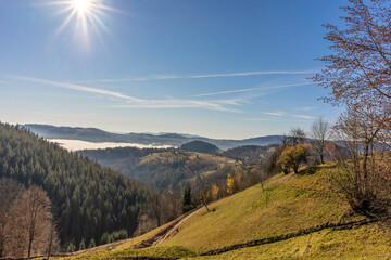 Wall Mural - sunrise view from the mountains of Romania autumn with fog