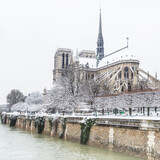 Fototapeta Paryż - Cathédrale Notre-Dame de Paris en hiver enneigée