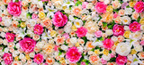 Fototapeta Kwiaty - Background Flowers. Pano of artificial flowers. delicate palette, bright, multi-colored, rich color