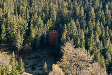 Nature landscape in mountain with fog and day light