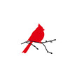 Northern cardinal and black branch. Redbird Christmas card.