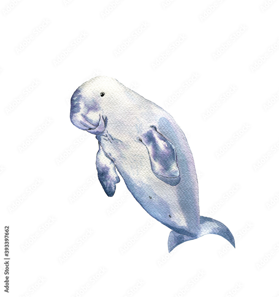 Dugong Lettering Rare mammal dugong isolated on white background. Stock Illustration ...