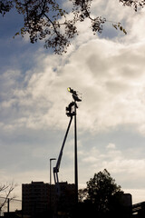 Electrician Repairing a light on a crane in a stadium