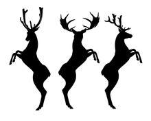 Rearing Up Deer Stag With Beautiful Antlers - Black And White Vector Heraldic Design Silhouette Set