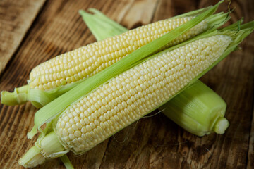 The young cobs of fresh yellow corn.