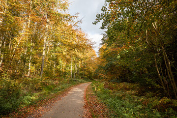 Wall Mural - Wandern auf Rügen