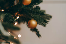 Gold Bauble Ornament Hanging On Christmas Tree Branch