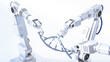 © Anna Huber/Westend61 - 3D Rendering, robot arms repairing DNA string