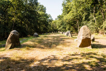 Germany, Lower Saxony, Wildeshausen, Visbeker Braut Burial Mound