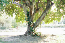 Whimsical Wedding Oak Tree