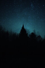 Wall Mural - astrophotography image taken in ontario, canada. photo of the stars in the night sky during the autu