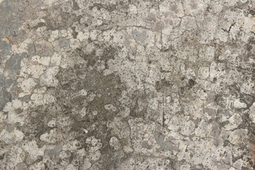 Gray cement concrete wall with cracks and mold texture background