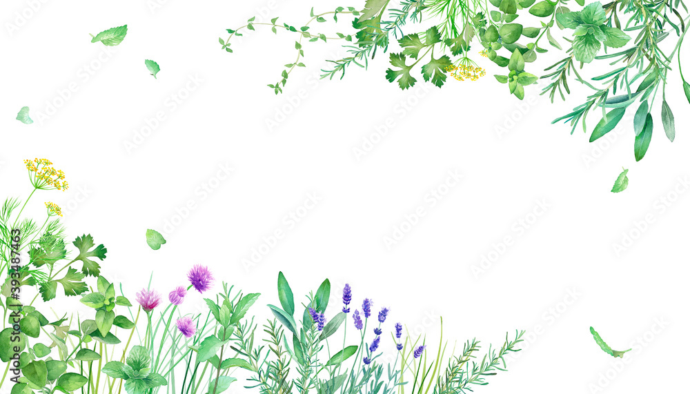 新緑のハーブガーデンのフレーム装飾 水彩イラスト Naklejka