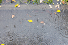 Top View Of Puddle On Asphalt Footpath In Autumn Rain