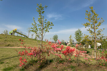 東伏見公園（東京都西東京市東伏見）