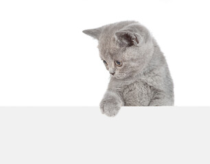 Poster - Cute kitten looks away and down above empty white banner. isolated on white background