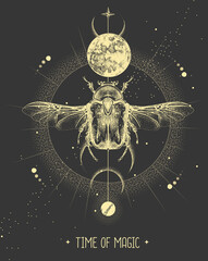 Wall Mural - Modern magic witchcraft card with moon and Flower chafer beetle. Hand drawing occult vector illustration