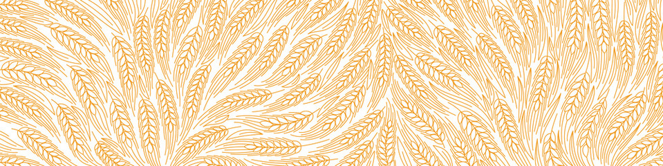 cereal field pattern background. ears of wheat. agriculture harvest. dry yellow. orange contour vect