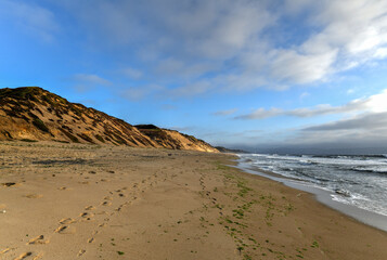 Canvas Print - Fort Ord Dune State Park - California