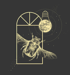 Wall Mural - Magic witchcraft window silhouette with Flower chafer beetle and full moon like light bulb. Vector illustration