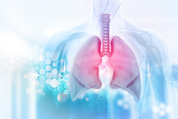 Human lungs on scientific background.3d illustration