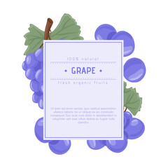 Wine grapes, table grapes vector hand drawn logotype design. Fresh berries on branch with leaves.